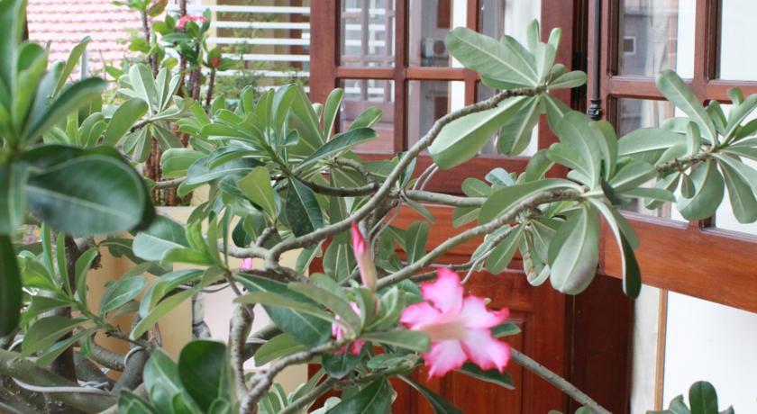 Phong Lan Guesthouse Хюе Екстер'єр фото